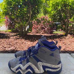 Adidas Kobe Crazy 8 2014 Light Onix Amazon Purple RARE